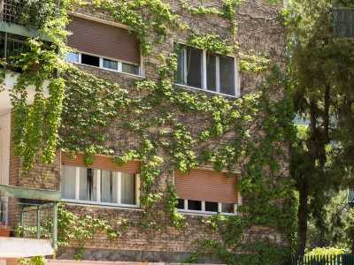 In via Cardinale Mimmi poi il verde delle rampicanti si confonde con le facciate